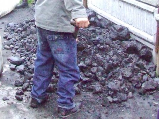 Prins la furat cărbune în Portul Constanţa